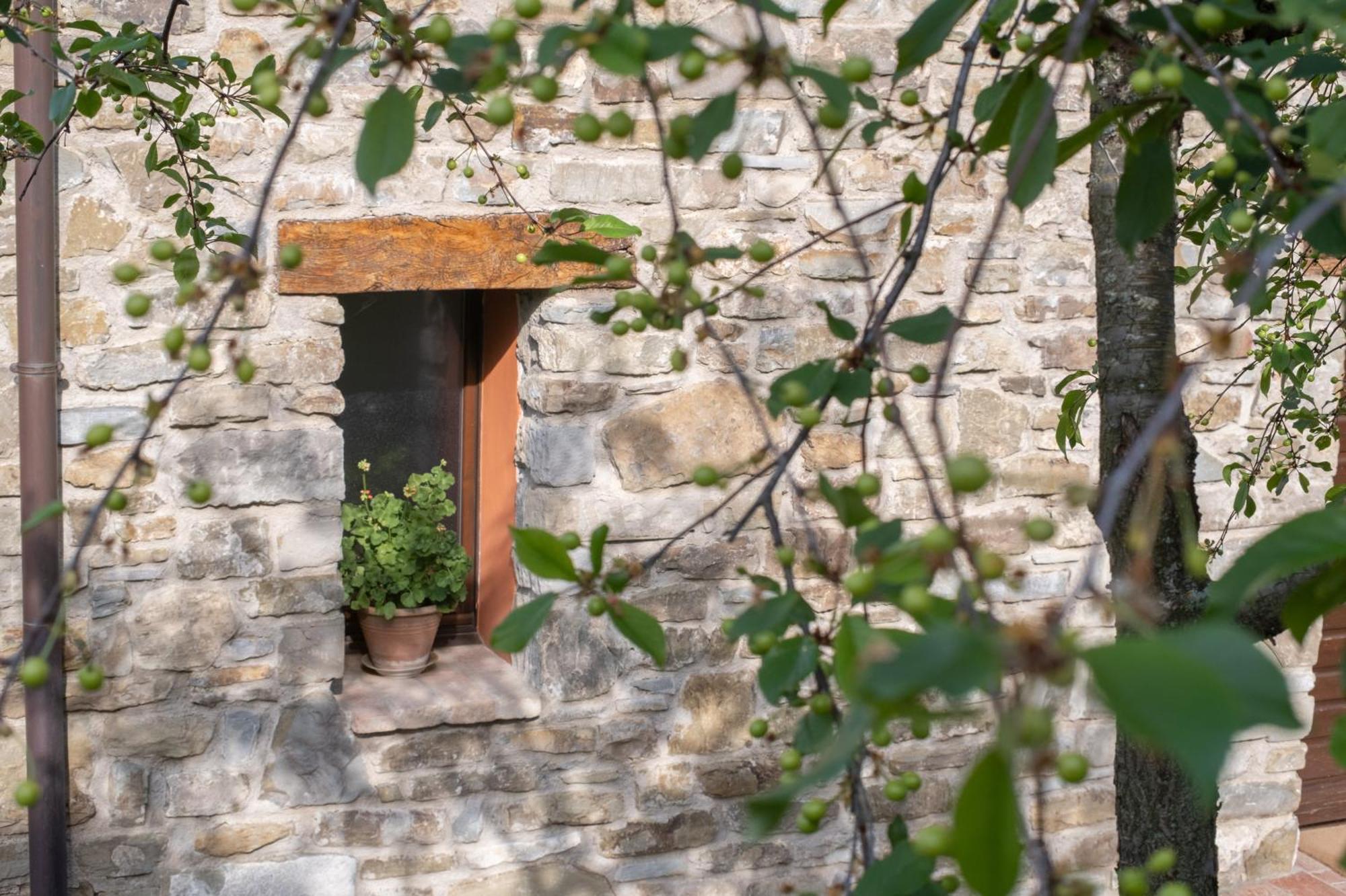 Il Casale-Toscoemiliano Villa Camugnano Exteriör bild